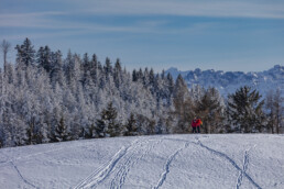 Appenzell Ausserrohden, Appenzeller Vorderland, Aussicht, Berge, Frost, Wald, Wald AR, Winter