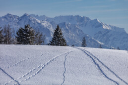 Appenzell Ausserrohden, Appenzeller Vorderland, Aussicht, Berge, Frost, Wald, Wald AR, Winter