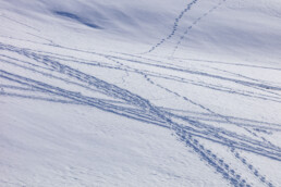 Appenzell Ausserrohden, Appenzeller Vorderland, Aussicht, Berge, Frost, Wald, Wald AR, Winter