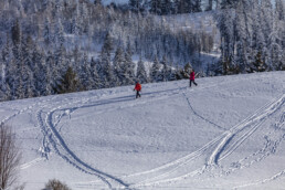Appenzell Ausserrohden, Appenzeller Vorderland, Aussicht, Berge, Frost, Wald, Wald AR, Winter