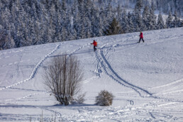 Appenzell Ausserrohden, Appenzeller Vorderland, Aussicht, Berge, Frost, Wald, Wald AR, Winter
