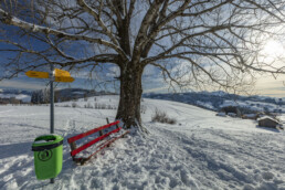 Appenzell Ausserrohden, Appenzeller Vorderland, Aussicht, Baum, Berge, Frost, Wald, Wald AR, Winter