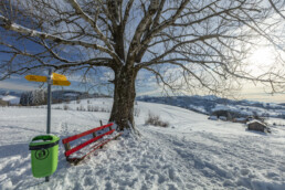 Appenzell Ausserrohden, Appenzeller Vorderland, Aussicht, Aussichtsbank, Bank, Baum, Berge, Frost, Wald, Wald AR, Winter
