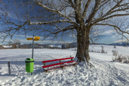Appenzell Ausserrohden, Appenzeller Vorderland, Aussicht, Baum, Berge, Frost, Wald, Wald AR, Winter