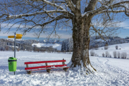 Appenzell Ausserrohden, Appenzeller Vorderland, Aussicht, Baum, Berge, Frost, Wald, Wald AR, Winter