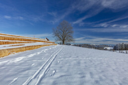 Appenzell Ausserrohden, Appenzeller Vorderland, Aussicht, Baum, Berge, Frost, Wald, Wald AR, Winter