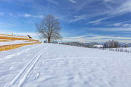 Appenzell Ausserrohden, Appenzeller Vorderland, Aussicht, Baum, Berge, Frost, Wald, Wald AR, Winter