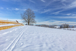 Appenzell Ausserrohden, Appenzeller Vorderland, Aussicht, Baum, Berge, Frost, Wald, Wald AR, Winter