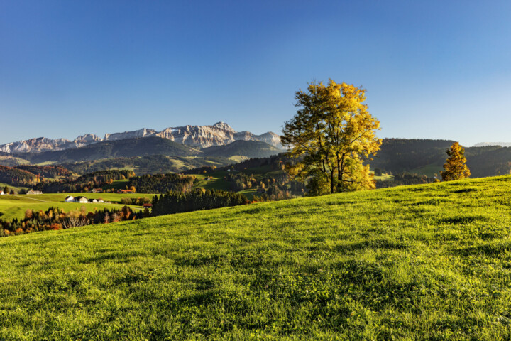 Alpstein, Appenzell, Appenzell Ausserrohden, Autumn, Baum, Berg, Fall, Herbst, Ostschweiz, Schweiz, Suisse, Switzerland, Säntis, Säntisbahn, Säntisbahn Säntis, Waldstatt