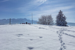 Appenzell Ausserrohden, Aussicht, Berge, Frost, Waldstatt, Winter