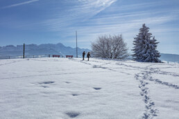 Appenzell Ausserrohden, Aussicht, Berge, Frost, Waldstatt, Winter