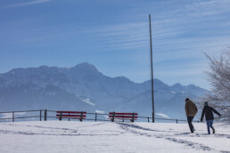 Appenzell Ausserrohden, Aussicht, Berge, Frost, Waldstatt, Winter