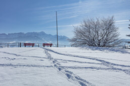 Appenzell Ausserrohden, Aussicht, Berge, Frost, Waldstatt, Winter