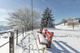 Appenzell Ausserrohden, Aussicht, Aussichtsbank, Bank, Berge, Frost, Waldstatt, Winter