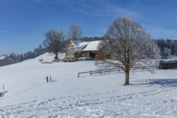 Appenzell Ausserrohden, Aussicht, Baum, Berge, Frost, Waldstatt, Winter