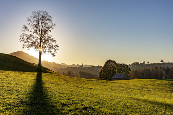 Appenzell, Appenzell Ausserrohden, Autumn, Baum, Dorf, Fall, Herbst, Ostschweiz, Schweiz, Suisse, Switzerland, Waldstatt