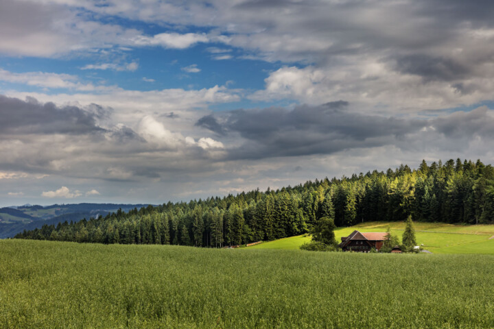 Bern, Berner-Oberland, Schweiz, Suisse, Switzerland