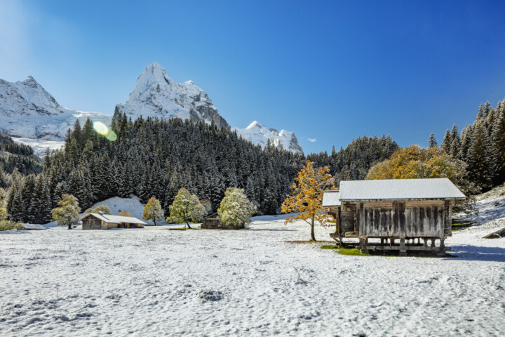 Alp, Alpen, Alps, Autumn, Baum, Berg, Bergmassiv, Bern, Berner-Oberland, Berneroberland, Fall, Haslital, Herbst, Meiringen, Rosenlaui, Schweiz, Suisse, Switzerland, alps