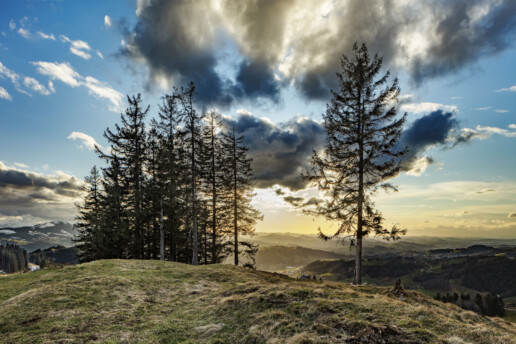 Abend, Appenzell, Appenzell Ausserrohden, Bäume, Clouds, Frühling, Gais, Ostschweiz, Schweiz, Spring, Suisse, Switzerland, Säntis, Tree, Trees, Verkehr, Wald, Wanderweg, Weg, Wolken