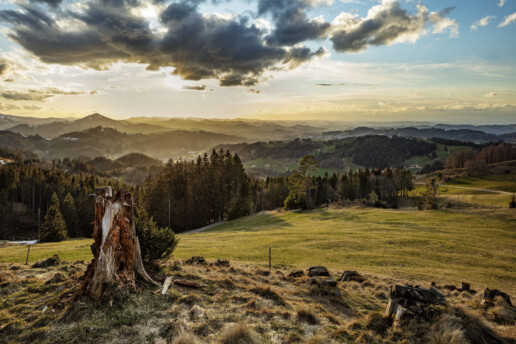 Abend, Appenzell, Appenzell Ausserrohden, Bäume, Clouds, Frühling, Gais, Ostschweiz, Schweiz, Spring, Suisse, Switzerland, Säntis, Tree, Trees, Verkehr, Wald, Wanderweg, Weg, Wolken