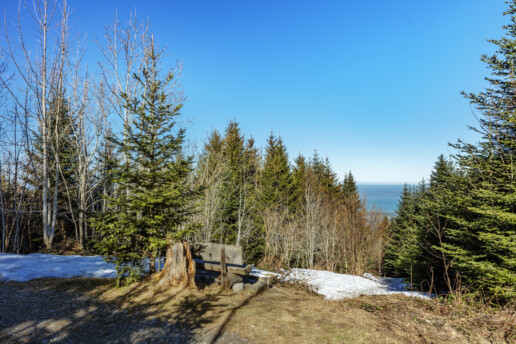 Appenzell, Appenzell Ausserrohden, Appenzeller Vorderland, Aussichtsbank, Bank, Bäume, Frühling, Heiden, Ostschweiz, Schnee, Schweiz, Sonnenschein, Spring, Suisse, Switzerland, Tree, Trees, Verkehr, Wald, Wanderweg, Weg, Wetter