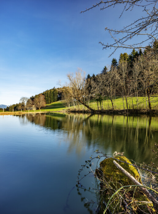 Appenzell, Appenzell Innerrhoden, Appenzeller Vorderland, Baum, Bäume, Frühling, Gewässer, Oberegg, Ostschweiz, Reute, Sonnenschein, Spring, Suisse, Switzerland, Tree, Trees, Wald, Wasser, Weier