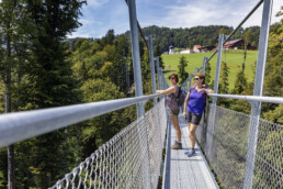 Appenzell, Appenzell Ausserrohden, Brücke, Grub, Hängebrücke, Ostschweiz, St. Gallen, Verkehr, Wanderweg, Weg