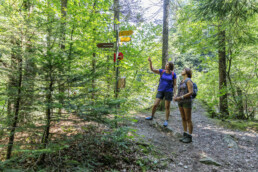 Appenzell, Appenzell Ausserrohden, Appenzell Innerrhoden, Badeplatz, Haslen, Stein, Teufen, Verkehr, Wanderweg, Weg