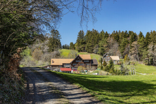 Appenzell, Appenzell Ausserrohden, Appenzeller Vorderland, Appenzellerhaus, Bauerhaus, Bauernhof, Frühling, Haus, Ortsbild, Ostschweiz, Schweiz, Spring, Streusiedlung, Suisse, Switzerland, Verkehr, Walzenhausen, Wanderweg, Weg, Weiler