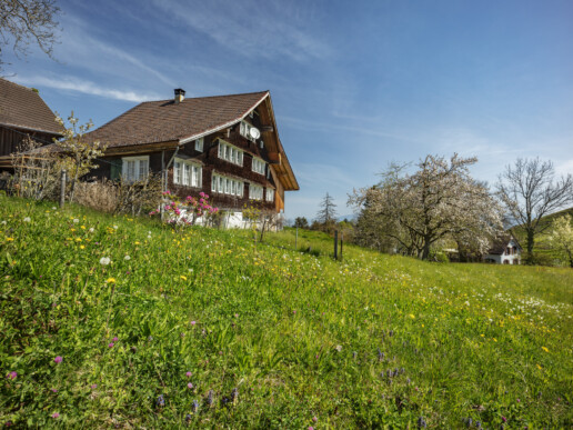 Appenzell, Appenzell Ausserrohden, Appenzeller Vorderland, Appenzellerhaus, Bauerhaus, Bauernhof, Baum, Frühling, Haus, Ortsbild, Ostschweiz, Schweiz, Spring, Streusiedlung, Suisse, Switzerland, Walzenhausen, Weiler, Wiese