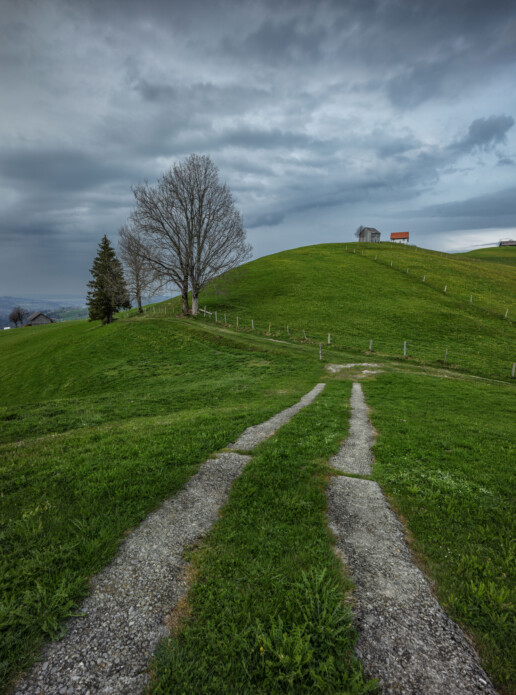 Appenzell, Appenzell Ausserrohden, Bauerhaus, Baum, Bäume, Clouds, Hundwil, Hügel, Schweiz, Suisse, Switzerland, Tree, Trees, Wald, Wiese, Wolken