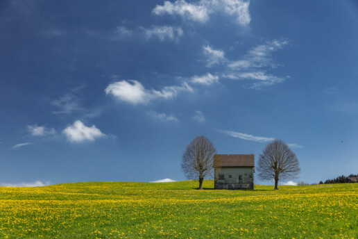 Appenzell, Appenzell Ausserrohden, Baum, Blumenwiese, Bäume, Clouds, Frühling, Haus, Herisau, Hütte, Ostschweiz, Schweiz, Sonnenschein, Spring, Suisse, Switzerland, Tree, Trees, Wald, Wiese, Wolken