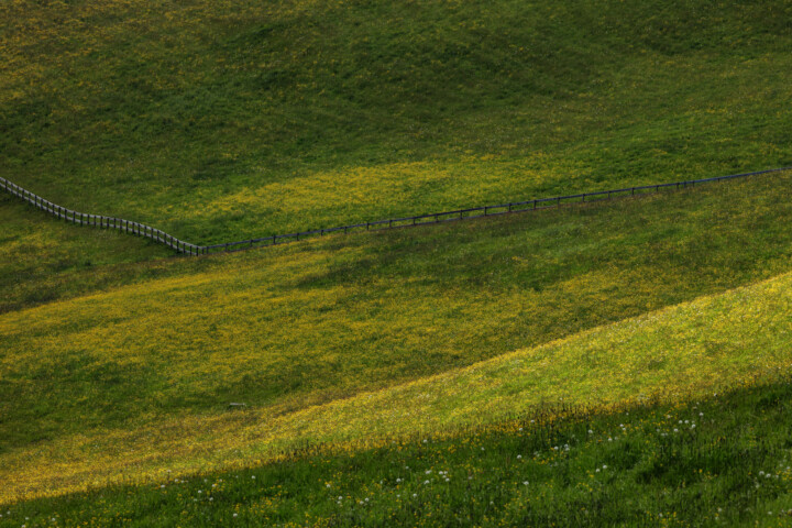Appenzell, Bauernhof, Blumenwiese, Ortsbild, Ostschweiz, Schweiz, Suisse, Switzerland, Wiese