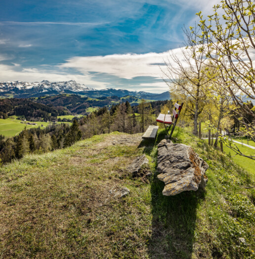 Appenzell, Appenzell Ausserrohden, Aussichtsbank, Bank, Berg, Bergmassiv, Bühler, Frühling, Hügel, Ostschweiz, Schweiz, Spring, Suisse, Switzerland, Säntis