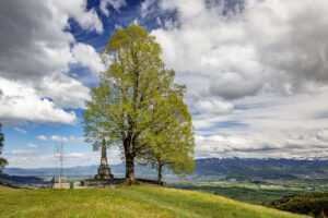 Appenzell, Appenzell Ausserrohden, Baum, Blumenwiese, Clouds, Frühling, Gais, Schweiz, Spring, Suisse, Switzerland, Vorarlberg, Wolken, Östereich