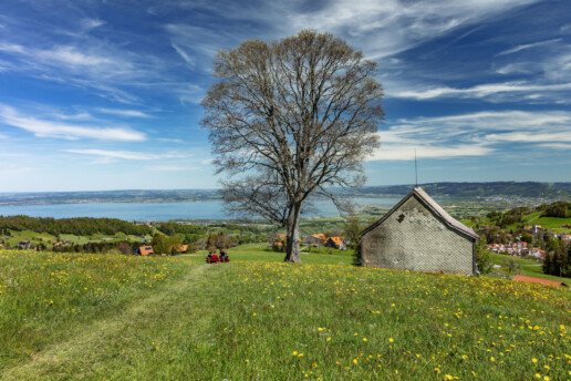 Appenzell, Appenzell Ausserrohden, Aussichtsbank, Bank, Baum, Blumenwiese, Bodensee, Frühling, Heiden, Ostschweiz, Schweiz, See, Sport, Spring, Suisse, Switzerland, Verkehr, Wandern, Wanderweg, Weg, Wiese, lake