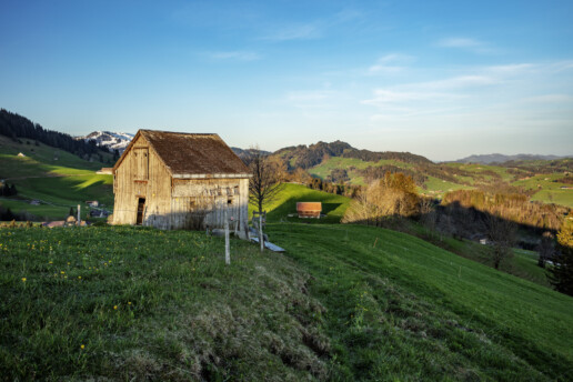 Alp, Appenzell, Appenzell Ausserrohden, Aussicht, Frühling, Haus, Hundwil, Hütte, Morgen, Ostschweiz, Schweiz, Spring, Suisse, Switzerland, alps