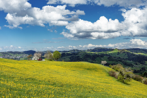 Alp, Appenzell, Appenzell Ausserrohden, Bauernhof, Blumenwiese, Clouds, Frühling, Hundwil, Ortsbild, Ostschweiz, Schweiz, Spring, Suisse, Switzerland, Wiese, Wolken