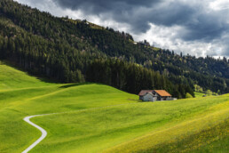 Alp, Appenzell, Appenzell Ausserrohden, Bauernhof, Blumenwiese, Clouds, Frühling, Hundwil, Ortsbild, Ostschweiz, Schweiz, Spring, Suisse, Switzerland, Wiese, Wolken
