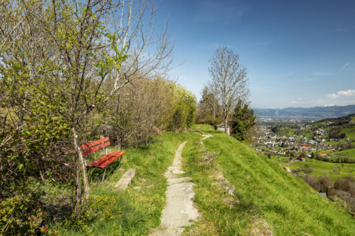 Appenzell, Appenzell Ausserrohden, Appenzeller Vorderland, Appenzellerhaus, Bauerhaus, Dorf, Frühling, Lutzenberg, Ortsbild, Ostschweiz, Spring, Weiler, Wolfhalden