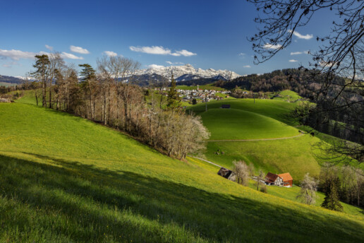Abend, Appenzell, Appenzell Ausserrohden, Appenzellerhaus, Aussicht, Bauerhaus, Baum, Berg, Bergmassiv, Blumenwiese, Bäume, Dorf, Freuerstelle, Frühling, Hügel, Ostschweiz, Picknick, Schweiz, Schwellbrunn, Spring, Streusiedlung, Suisse, Switzerland, Säntis, Tree, Trees, Wald