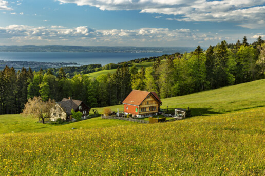 Abend, Appenzell, Appenzell Ausserrohden, Appenzellerhaus, Bodensee, Clouds, Deutschland, Frühling, Haus, Ostschweiz, Schweiz, See, Speicher, Spring, Streusiedlung, Suisse, Switzerland, Wolken, lake