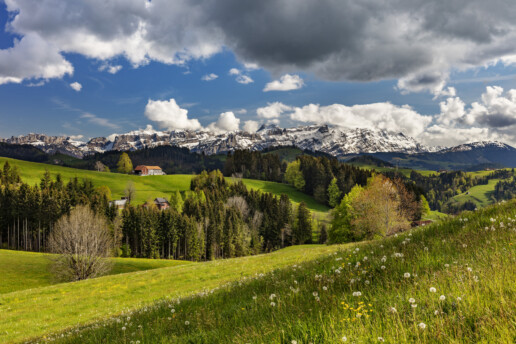 Abend, Alpen, Alps, Alpstein, Appenzell, Appenzell Ausserrohden, Appenzellerhaus, Aussicht, Bauerhaus, Bauernhof, Baum, Berg, Bergmassiv, Blumenwiese, Clouds, Frühling, Ortsbild, Ostschweiz, Schweiz, Spring, Streusiedlung, Suisse, Switzerland, Säntis, Teufen, Wiese, Wolken, haus