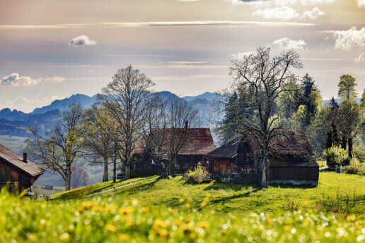 Abend, Appenzell, Appenzell Ausserrohden, Appenzellerhaus, Bauerhaus, Bauernhof, Baum, Blumenwiese, Bäume, Clouds, Frühling, Haus, Ortsbild, Ostschweiz, Schweiz, Spring, Streusiedlung, Suisse, Switzerland, Teufen, Tree, Trees, Wald, Weiler, Wiese, Wolken