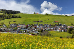 Appenzell, Appenzell Ausserrohden, Blumenwiese, Dorf, Frühling, Ostschweiz, Schweiz, Sonnenschein, Spring, Suisse, Switzerland, Waldstatt, Wiese