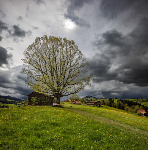 Abend, Appenzell, Appenzell Ausserrohden, Aussichtsbank, Bank, Bauernhof, Baum, Clouds, Gewitter, Ortsbild, Ostschweiz, Schweiz, Streusiedlung, Suisse, Switzerland, Thunderstorm, Verkehr, Waldstatt, Wanderweg, Weg, Weiler, Wolken