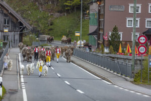 Alp, Alpaufzug, Alpen, Alpfahrt, Alps, Appenzell, Appenzell Ausserrohden, Brauchtum, Frühling, Hundwil, Ostschweiz, Schweiz, Sennen, Spring, Suisse, Switzerland, Tracht, Urnäsch, alps, tradition