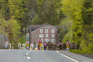 Alp, Alpaufzug, Alpen, Alpfahrt, Alps, Appenzell, Appenzell Ausserrohden, Brauchtum, Frühling, Hundwil, Ostschweiz, Schweiz, Sennen, Spring, Suisse, Switzerland, Tracht, Urnäsch, alps, tradition