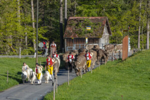 Alp, Alpaufzug, Alpen, Alpfahrt, Alps, Appenzell, Appenzell Ausserrohden, Brauchtum, Frühling, Hundwil, Ostschweiz, Schweiz, Sennen, Spring, Suisse, Switzerland, Tracht, Urnäsch, alps, tradition