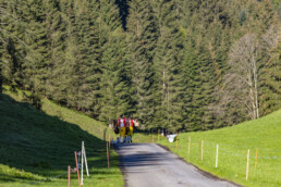 Alp, Alpaufzug, Alpen, Alpfahrt, Alps, Appenzell, Appenzell Ausserrohden, Brauchtum, Frühling, Hundwil, Ostschweiz, Schweiz, Sennen, Spring, Suisse, Switzerland, Tracht, Urnäsch, alps, tradition